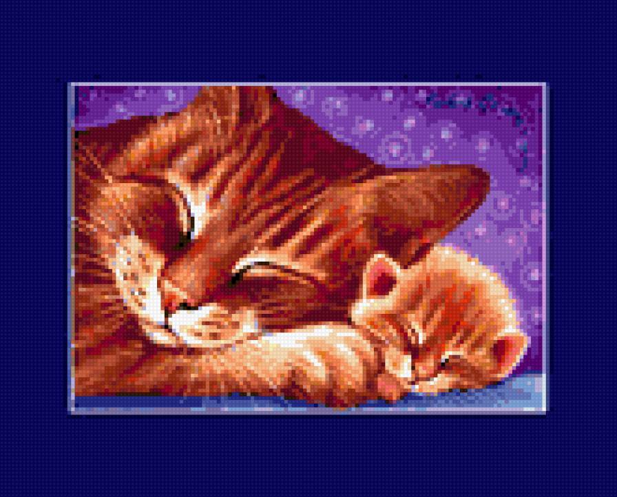 кошачье семейство - предпросмотр