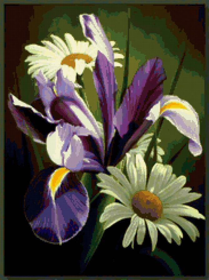 серия "цветы" - цветы.ромашки.ирис - предпросмотр