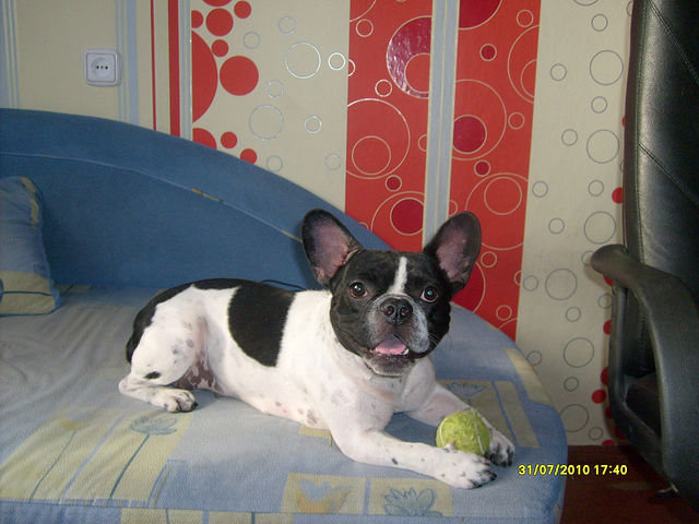 бони2 - оригинал