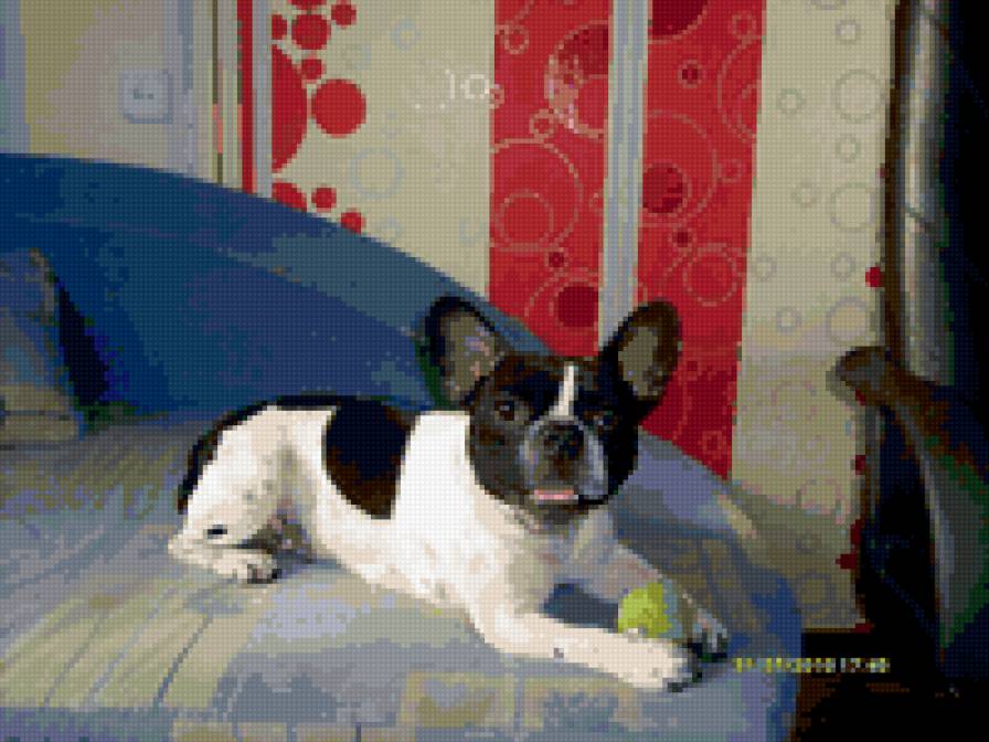 бони2 - предпросмотр