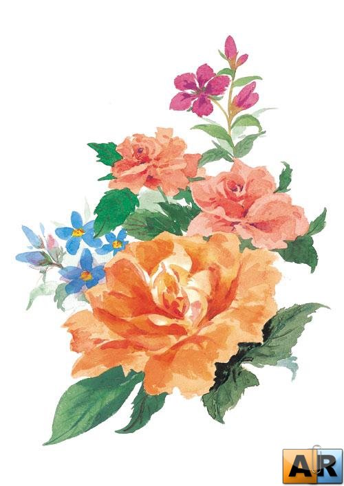 цветы - оригинал