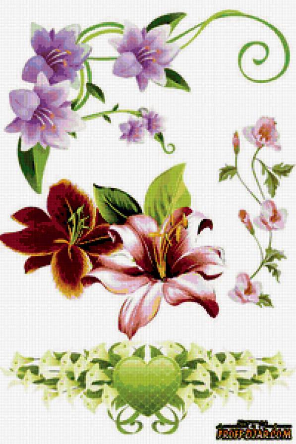 лилии - предпросмотр