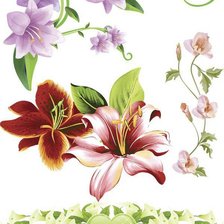 Схема вышивки «лилии»