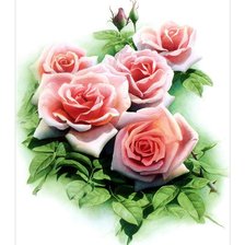 Схема вышивки «розы»