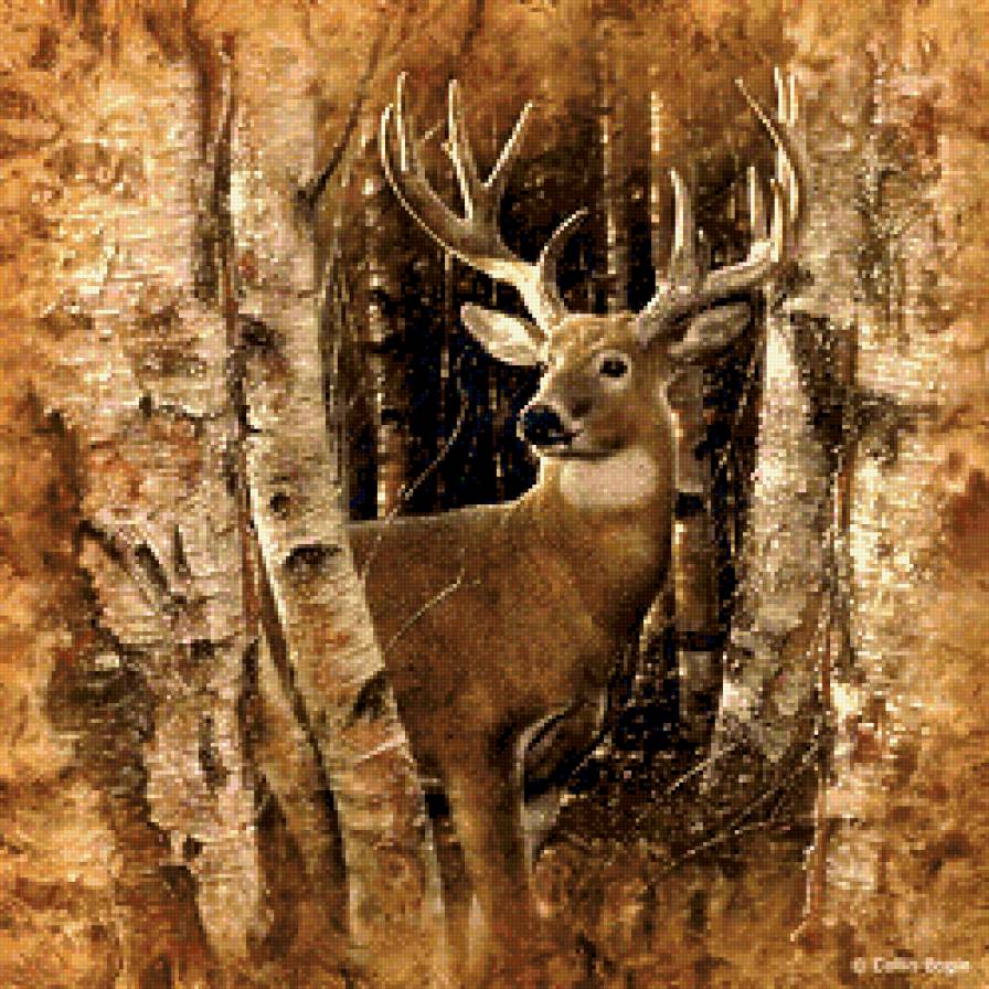 в лесу - деревья, олень, животные, лес - предпросмотр