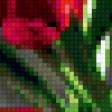 Предпросмотр схемы вышивки «тюльпаны» (№361717)