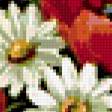Предпросмотр схемы вышивки «букет маков» (№361721)