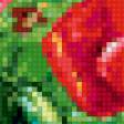 Предпросмотр схемы вышивки «маковое поле» (№361722)