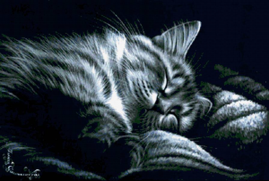 Портрет, кошка - кошка, портрет - предпросмотр