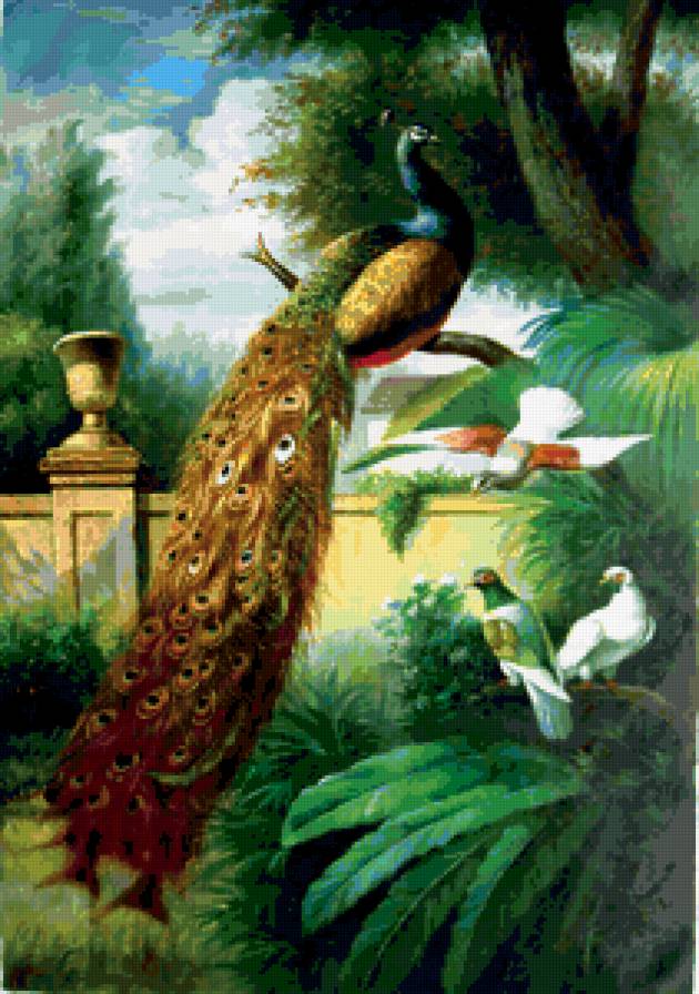 Павлины, птицы, цветы - павлины, цветы, птицы - предпросмотр