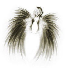 Оригинал схемы вышивки «Крылья» (№361888)