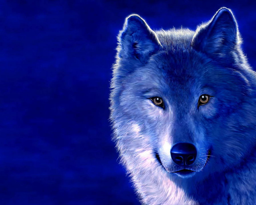 Синий волк - волк, синий - оригинал