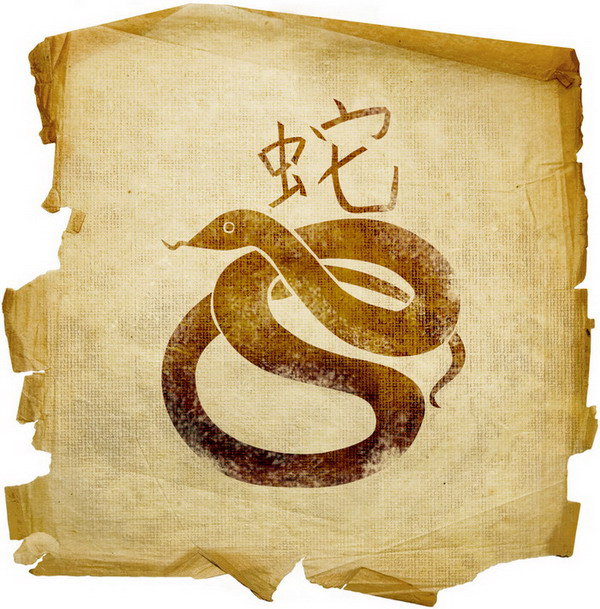 змейка 2013 - змея, символ 2013, змейка - оригинал