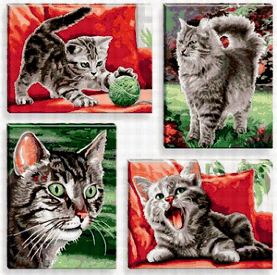 квартет кошек - котенок, кот, живопись - предпросмотр