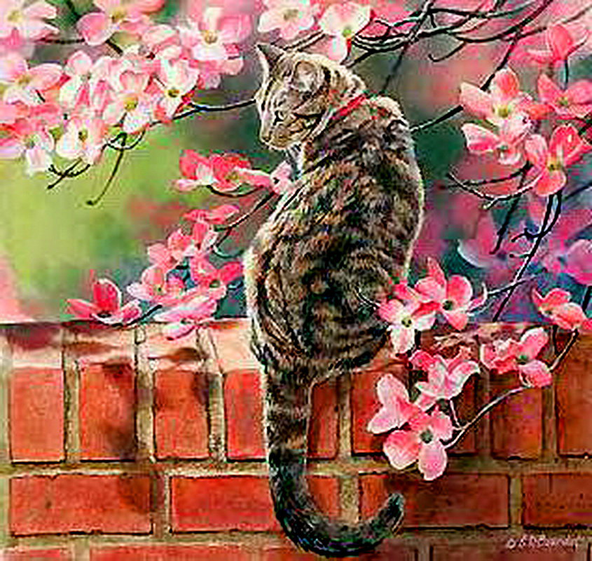 кот весной - кот, дерево, весна, забор, цветы - оригинал