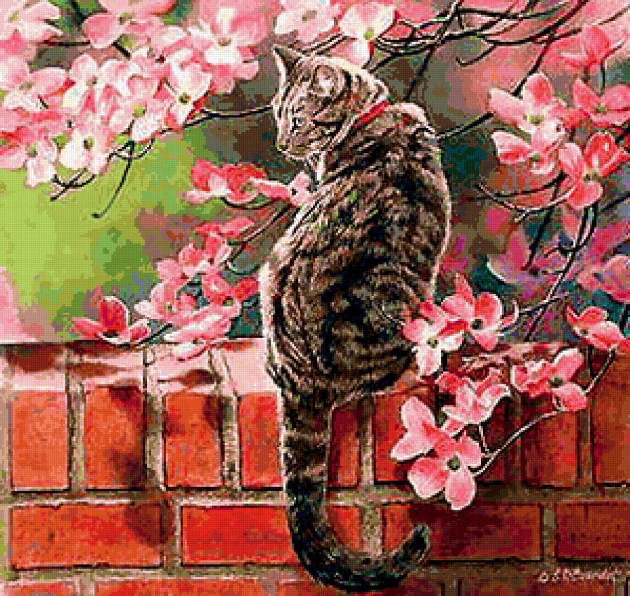 кот весной - кот, цветы, забор, дерево, весна - предпросмотр