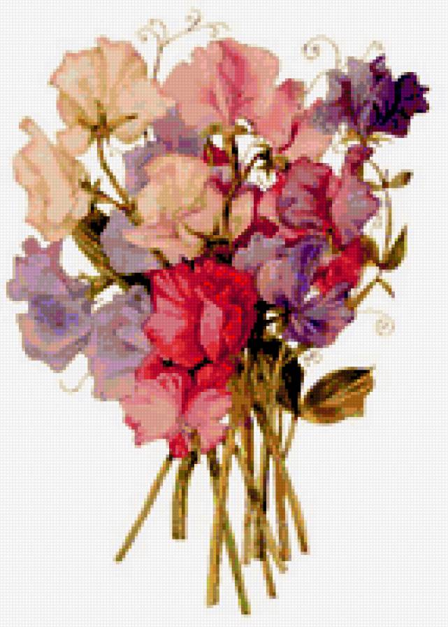 душистый горошек - душистый горошек - предпросмотр