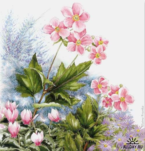 №362054 - оригинал