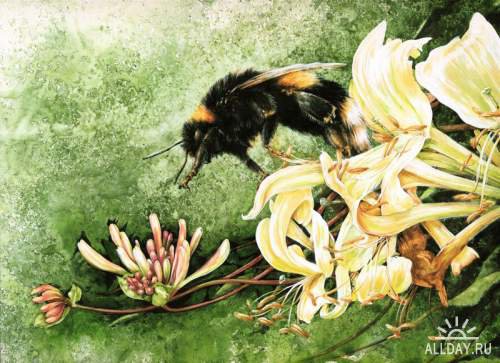 №362062 - оригинал