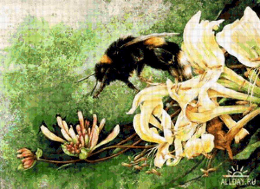 №362062 - предпросмотр