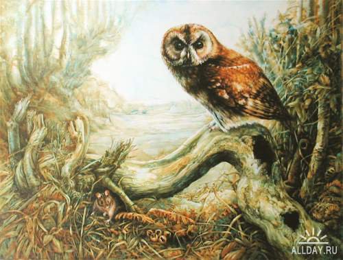 №362067 - оригинал