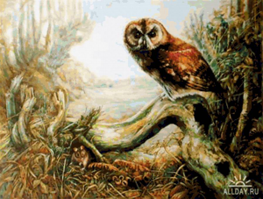 №362067 - предпросмотр