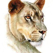 Схема вышивки «№362071»