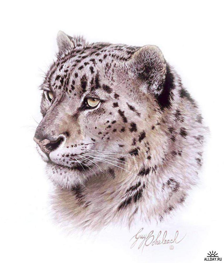 №362073 - оригинал