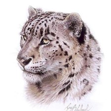 Схема вышивки «№362073»