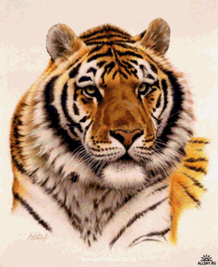 №362074 - предпросмотр