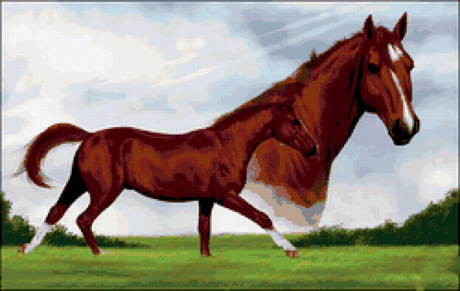 лошадки - лошадь, конь, кони, лошади, животные - предпросмотр