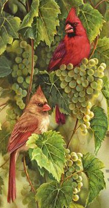 птицы - птица, виноград - оригинал