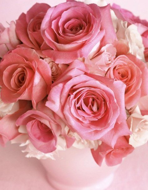 розы - цветы, букет, роза - оригинал