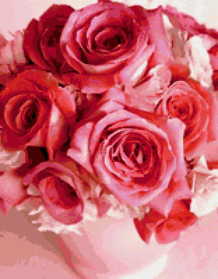 розы - цветы, букет, роза - предпросмотр