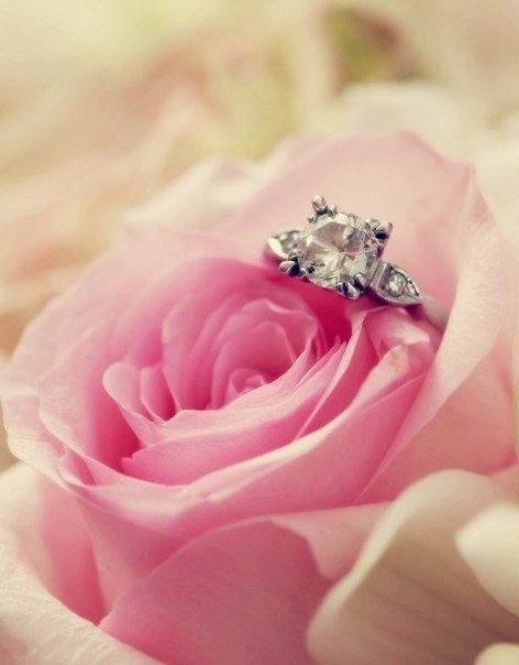 роза - кольцо, цветок, букет, роза - оригинал