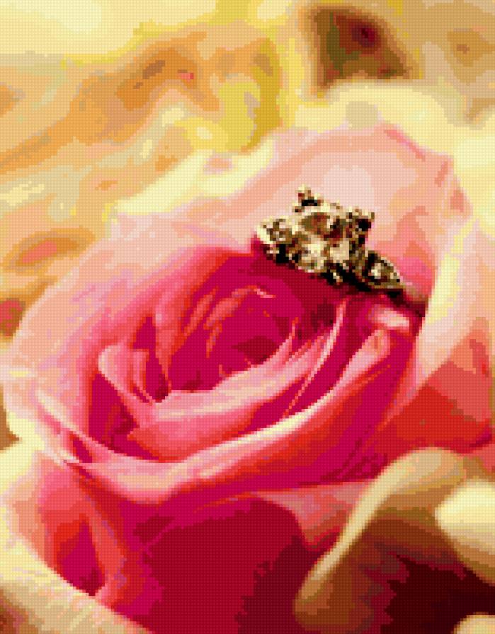 роза - букет, кольцо, цветок, роза - предпросмотр