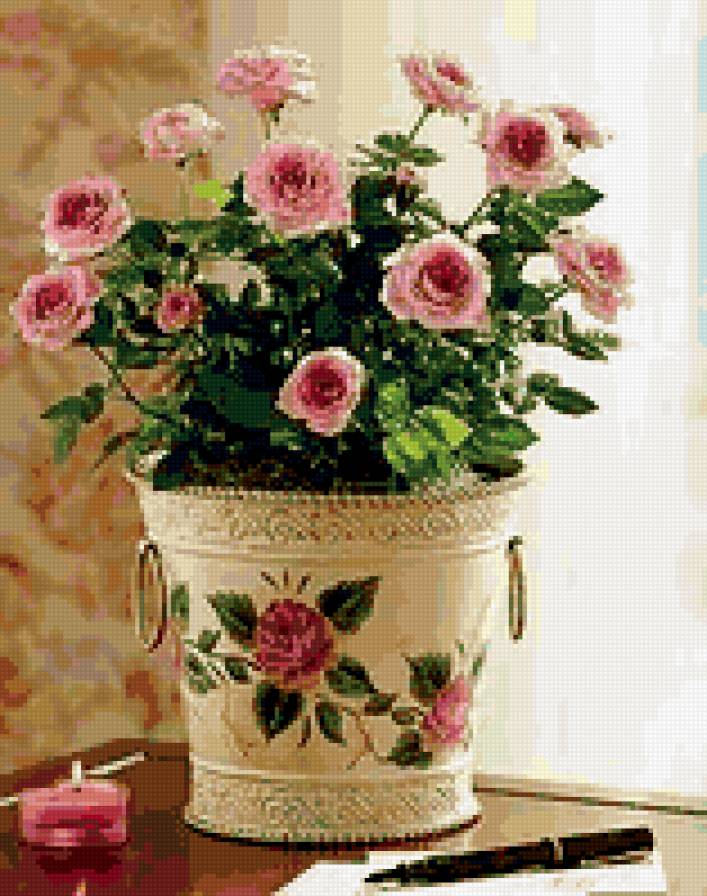 розы - букет, роза, ведро, цветы, натюрморт - предпросмотр