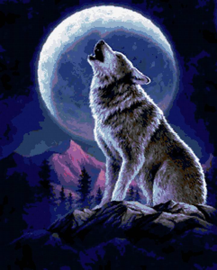 Вой на луну - волк - предпросмотр