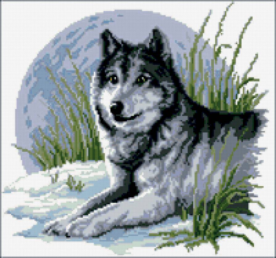 волк - волк, зверь, хищник, природа - предпросмотр