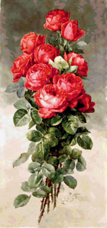 букет роз-1 - предпросмотр