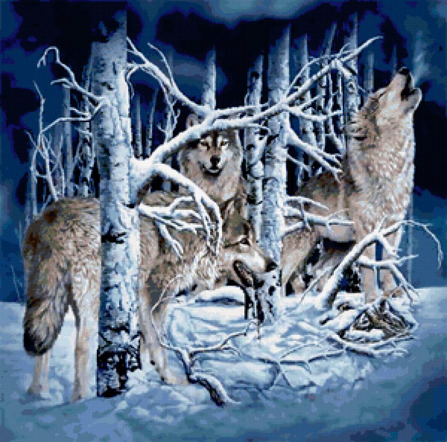 волки - волк - предпросмотр