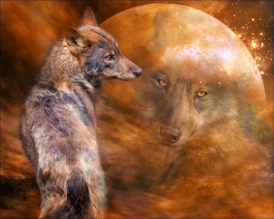 волк и луна - волк - оригинал