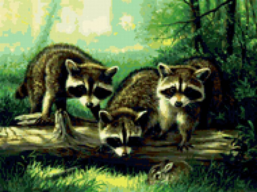 0100 - природа, картина, енот, красота, лето, животные, лес - предпросмотр