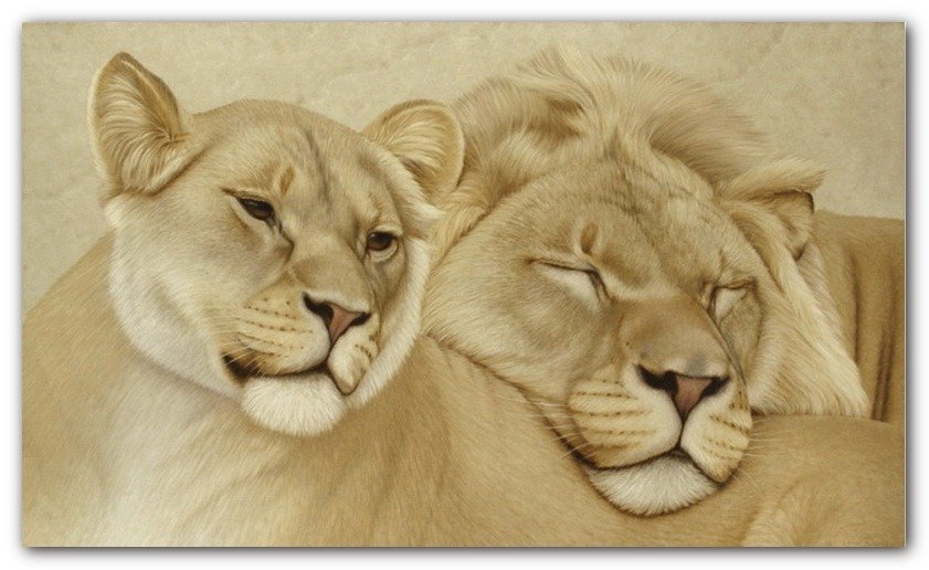 картина - животные - оригинал