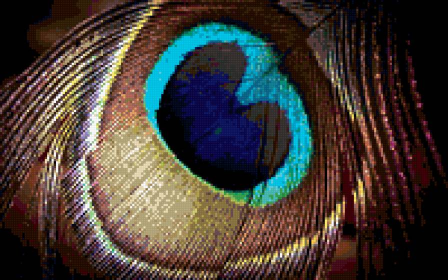 Перо - павлин, перо, эгоист - предпросмотр