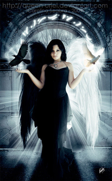 Ангел или демон - ангел, девушка, фэнтези - оригинал