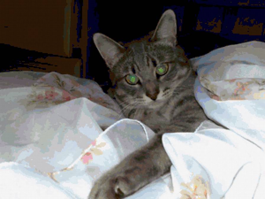 мой - предпросмотр