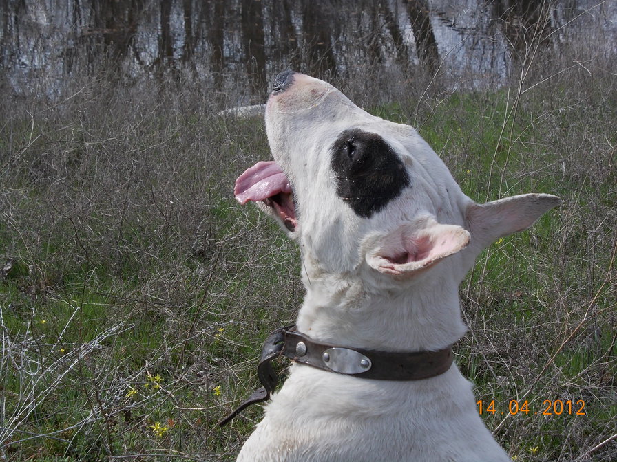 егор - оригинал