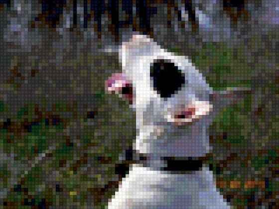 егор - предпросмотр