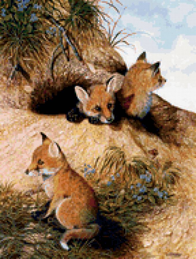 0101 - картина, животные, лето, красота, природа, лиса, лес - предпросмотр